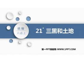 《三黑和土地》PPT课文课件-第一PPT