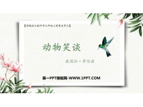 《动物笑谈》PPT优质课件下载-第一PPT