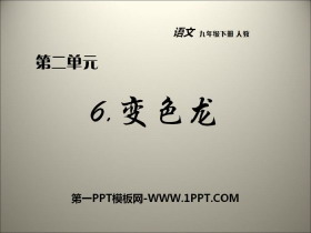 《变色龙》PPT课件免费下载-第一PPT