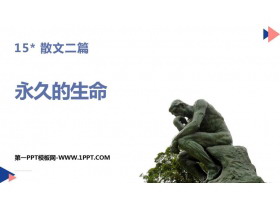 《永久的生命》PPT优质课件-第一PPT
