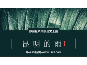 《昆明的雨》PPT课文课件-第一PPT
