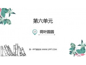 《荷叶圆圆》PPT课文课件-第一PPT