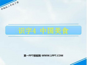 《中国美食》PPT优秀课件-第一PPT