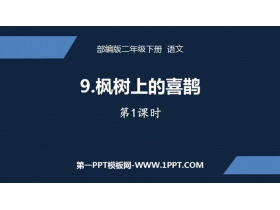 《枫树上的喜鹊》PPT教学课件(第1课时)-第一PPT