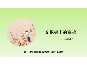 《枫树上的喜鹊》PPT课文课件-第一PPT