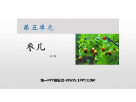 《枣儿》PPT课文课件下载-第一PPT
