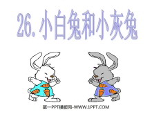《小白兔和小灰兔》PPT课件4-第一PPT