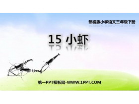 《小虾》PPT课文课件-第一PPT