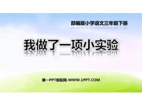 《我做了一项小实验》PPT免费课件-第一PPT