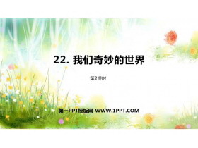 《我们奇妙的世界》PPT课件(第2课时)-第一PPT