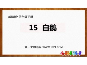 《白鹅》PPT免费下载-第一PPT