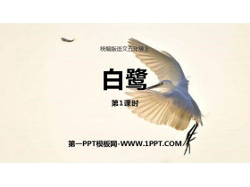 《白鹭》PPT课件(第1课时)-第一PPT