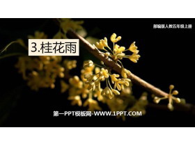 《桂花雨》PPT优秀课件免费下载-第一PPT
