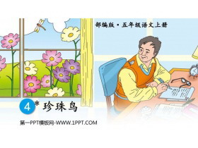 《珍珠鸟》PPT课文课件-第一PPT
