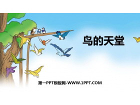 《鸟的天堂》PPT课件免费下载-第一PPT
