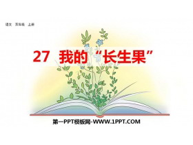 《我的“长生果”》PPT优质课件-第一PPT