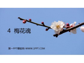 《梅花魂》PPT优秀课件-第一PPT