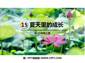 《夏天里的成长》PPT课文课件-第一PPT