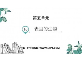 《表里的生物》PPT精品课件-第一PPT