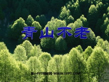 《青山不老》PPT课件下载5-第一PPT
