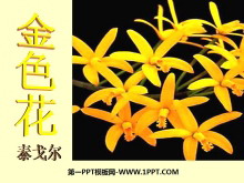 《诗两首-金色花》PPT课件4-第一PPT