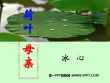 《荷叶母亲》PPT课件3-第一PPT