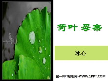 《荷叶母亲》PPT课件-第一PPT
