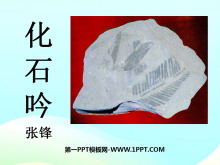 《化石吟》PPT课件4-第一PPT