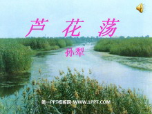 《芦花荡》PPT课件3-第一PPT