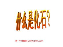 《活化石》PPT教学课件下载-第一PPT