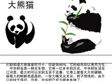 《活化石》Flash动画课件下载-第一PPT