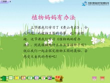 《植物妈妈有办法》Flash动画课件下载-第一PPT