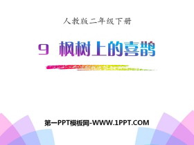 《枫树上的喜鹊》PPT-第一PPT