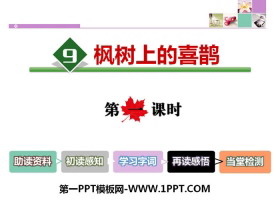 《枫树上的喜鹊》PPT课件(第一课时)-第一PPT