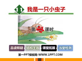 《我是一只小虫子》PPT课件(第二课时)-第一PPT