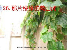《那片绿绿的爬山虎》PPT课件下载-第一PPT