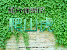 《那片绿绿的爬山虎》PPT课件下载3-第一PPT