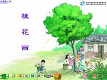 《桂花雨》Flash动画课件下载-第一PPT
