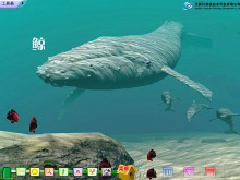 《鲸》Flash动画课件-第一PPT