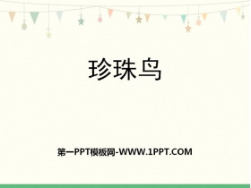《珍珠鸟》PPT免费下载-第一PPT