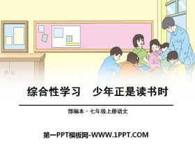 《少年正是读书时》PPT-第一PPT