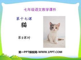 《猫》PPT(第一课时)-第一PPT