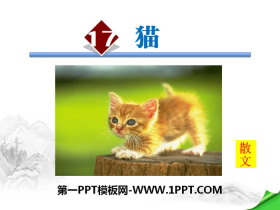 《猫》PPT下载-第一PPT