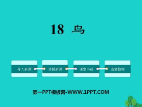 《鸟》PPT下载-第一PPT