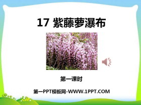 《紫藤萝瀑布》PPT课件(第一课时)-第一PPT