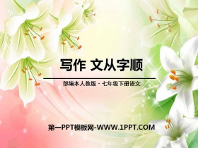 《文从字顺》PPT-第一PPT