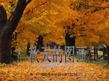 《秋天的图画》PPT教学课件下载7-第一PPT