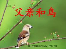《父亲和鸟》PPT教学课件下载5-第一PPT