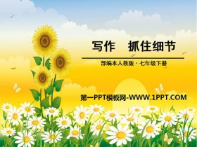 《抓住细节》PPT-第一PPT