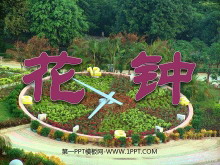 《花钟》PPT教学课件下载3-第一PPT